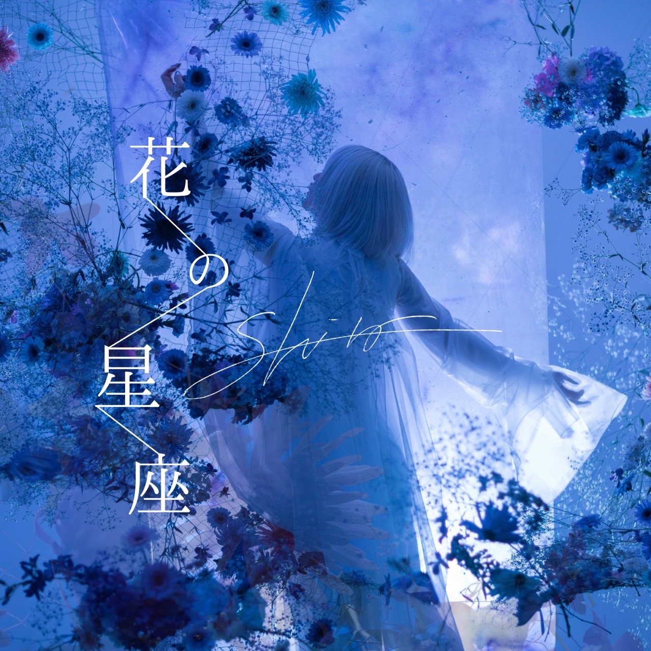 Sshiro 1st Single「花の星座」ジャケット